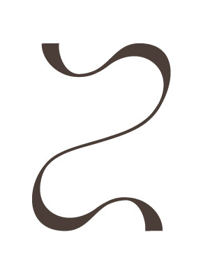 Lingerie ZiTa website