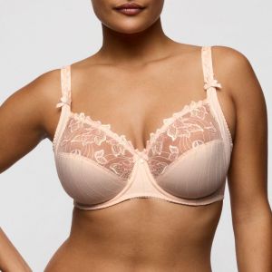 0161811 VEN Venus