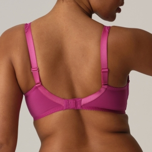 0162121 fuchsia fiesta