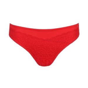 0541600 SCA Scarlet