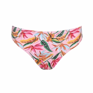 Sirocco pink paradise