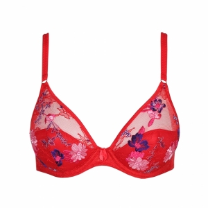 0102445 rood