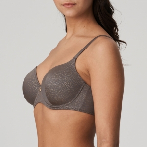 0241900 kitten grey