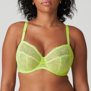 Sophora lime crush