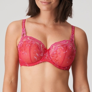 DELIGHT framboos