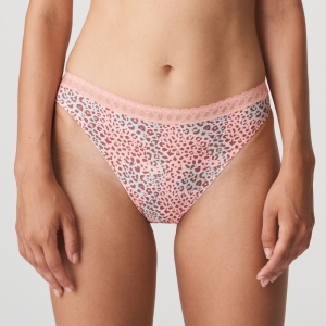 Livadi summer rose