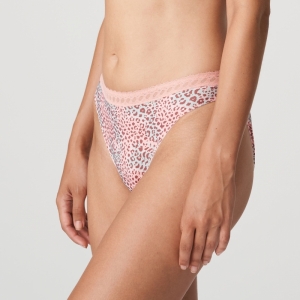 Livadi summer rose