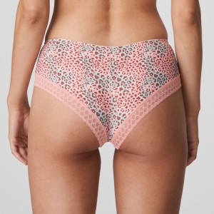 Livadi summer rose