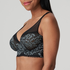Rose sauvage ZWA Zwart