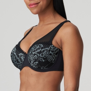 Rose sauvage  ZWA Zwart