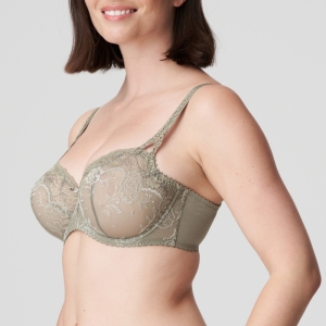 0162764 BTQ Botanique