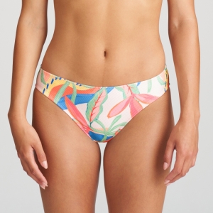 1004950 tropical blosso