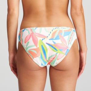 1004950 tropical blosso