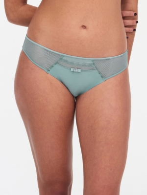 C22330 trellis