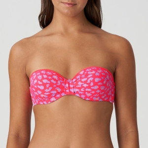 1005818 deep sea coral