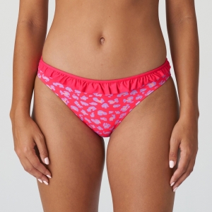 1005850 deep sea coral