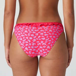 1005850 deep sea coral
