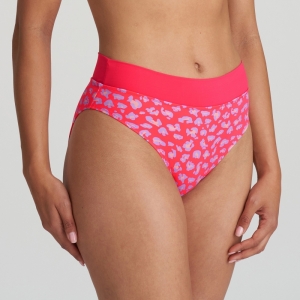 1005851 deep sea coral
