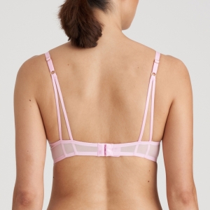 0102691 lily rose