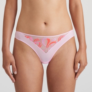 0502690 lily rose