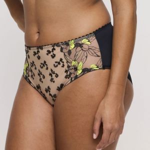 0563571 wild Bloom