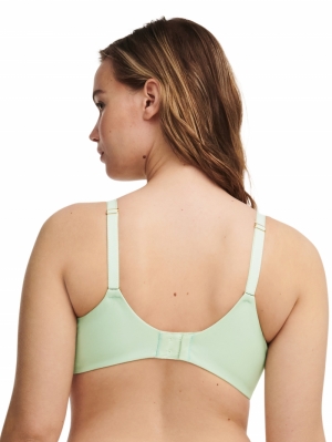 C17Q20 green lily