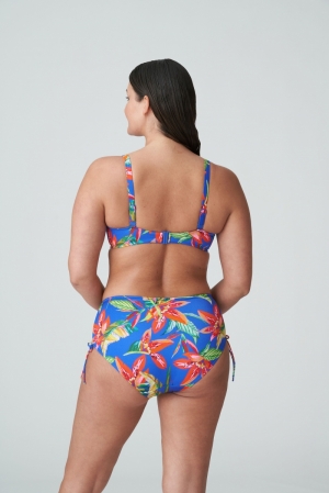 4011152 tropical rainfo