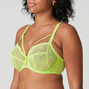 0163181 lime crush