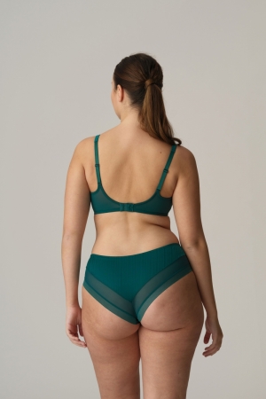 0242330 jasper green
