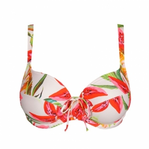 4012710 Calm tropics
