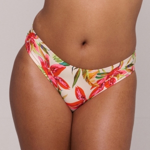 4012750 Calm tropics