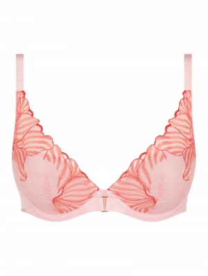 C15YNA Nymphea pink