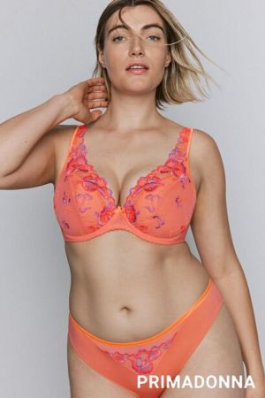 0163442 Sunset Blush