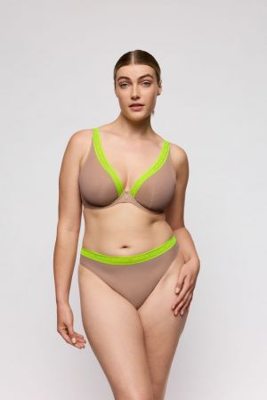 0642560 Ginger