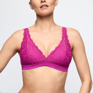 0103044 WIR Wild Rose